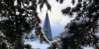 Севастополь в снегу на старый Новый Год фото 18