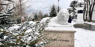 Севастополь в снегу на старый Новый Год фото 23