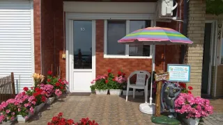 «Алустон»