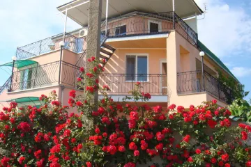 Аришка Уютное