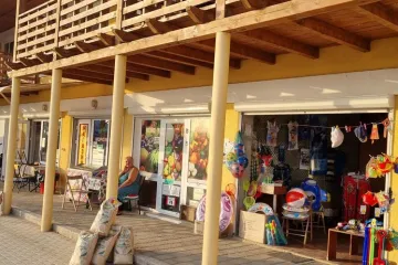 Арсений Прибрежное