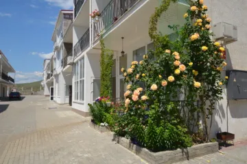 Астра Орджоникидзе