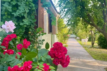 АвокаДа Оленевка