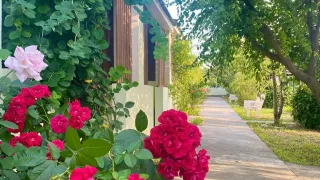 «АвокаДа»