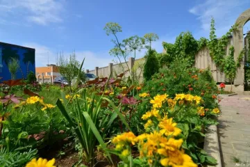 Ай-Петри Николаевка