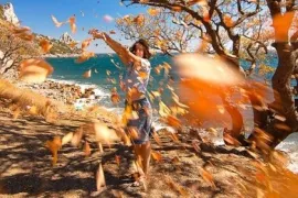 Бабье лето в Крыму и тёплое море