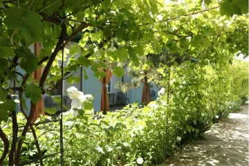 База Отдыха Бриз Николаевка