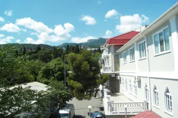 Чайка Симеиз