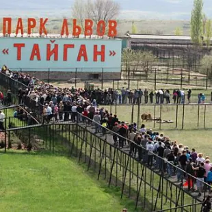 Крымское сафари