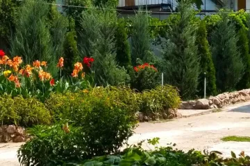 Цветущий дворик Николаевка