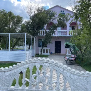 Дельфин