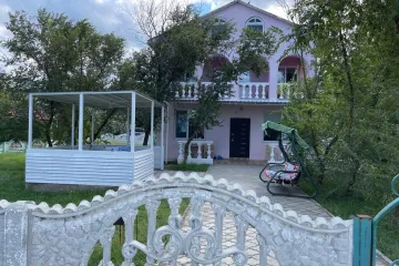 Дельфин Мысовое