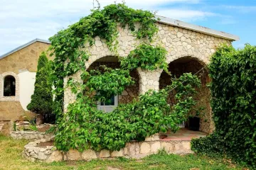 Дивомир Оленевка