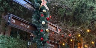  «Дом образцового содержания» фото 3