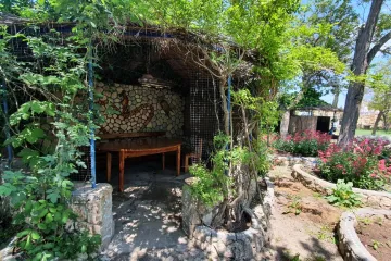 Дом отдыха Оленевка