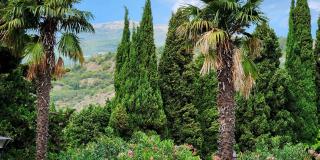 Дворец княгини Гагариной в Крыму фото 7