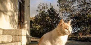 Дворец Харакс фото 2