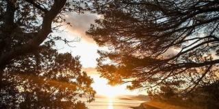 Дворец Харакс фото 6