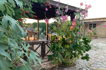 Эко-отель Мегарон Черноморское