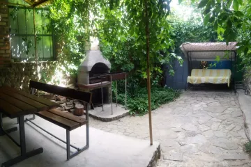 Елена Новый Свет