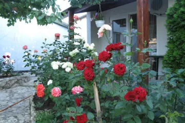 Эльва Оленевка