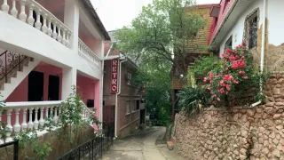«Фламинго»