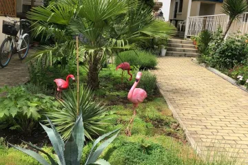 Фламинго Коктебель