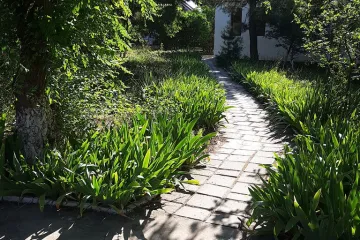 Фламинго Орджоникидзе