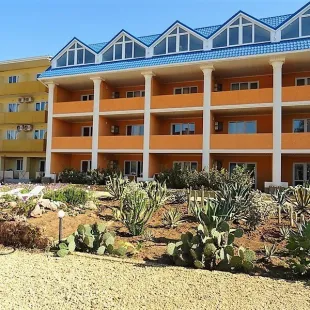 Gala Paradise