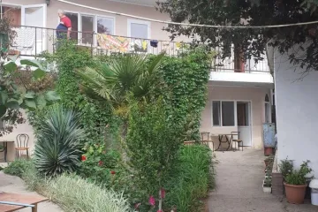 Глициния Рыбачье