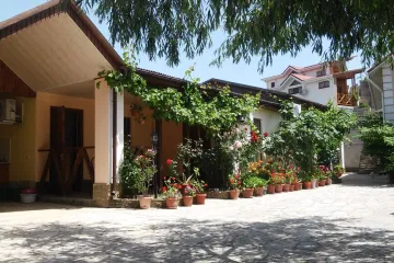 Глициния Коктебель