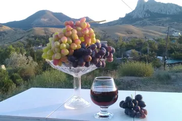 «Гостевой дом» ул. Жуковского, 7А Коктебель