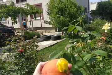 Гостевой дом Андреевский флаг Николаевка