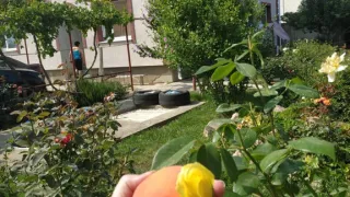 «Гостевой дом Андреевский флаг»