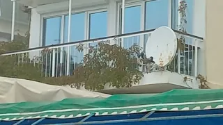 «Гостевой дом Армения»