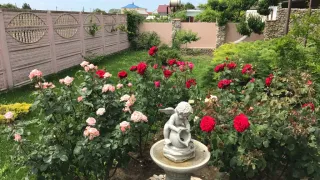 «Гостевой дом Морской»