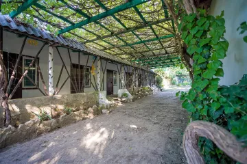 Гостевой дом Sofi Оленевка