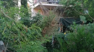 «Гостевой дом Текила»