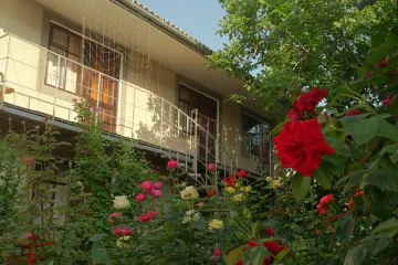 Гостевой дом Уют Николаевка