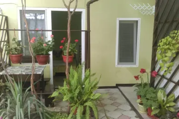 Гостевой дворик Сонечка Коктебель