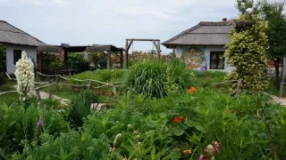 «Гуляйполе»