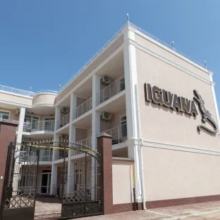 Игуана