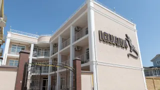 «Игуана»