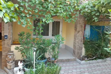 Инжир Коктебель