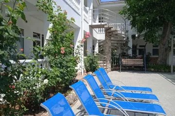 Инжир Николаевка