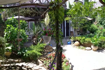 Инжир Орджоникидзе