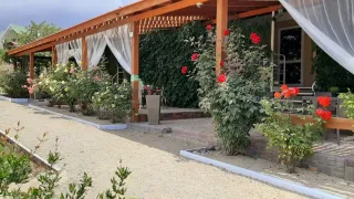 «Кактус»