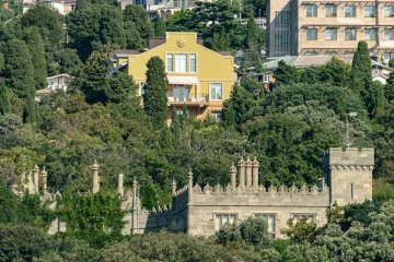 Камелия Алупка