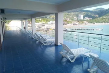 Катран Новый Свет