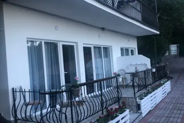 Кедр Алупка